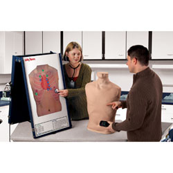 Complete Life/form&reg; Auscultation Training Station
