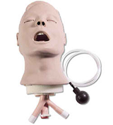 "Airway Larry" Adult Airway Management Trainer Head