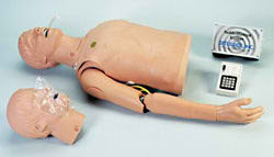 Adult ALS Trainer - Torso Only