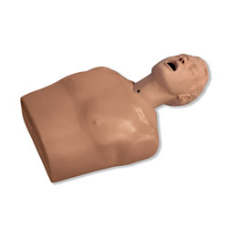 Life/form&reg; NG Tube & Trach Skills Simulator 