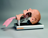 The Ambu&reg; Intubation Trainer