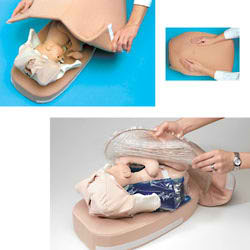 Abdominal Palpation Model 