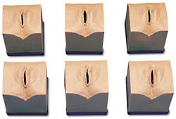 Life/form&reg; Cervical Dilatation/Effacement Simulators