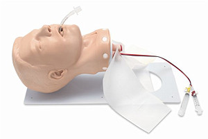 Deluxe Adult Airway Management Head